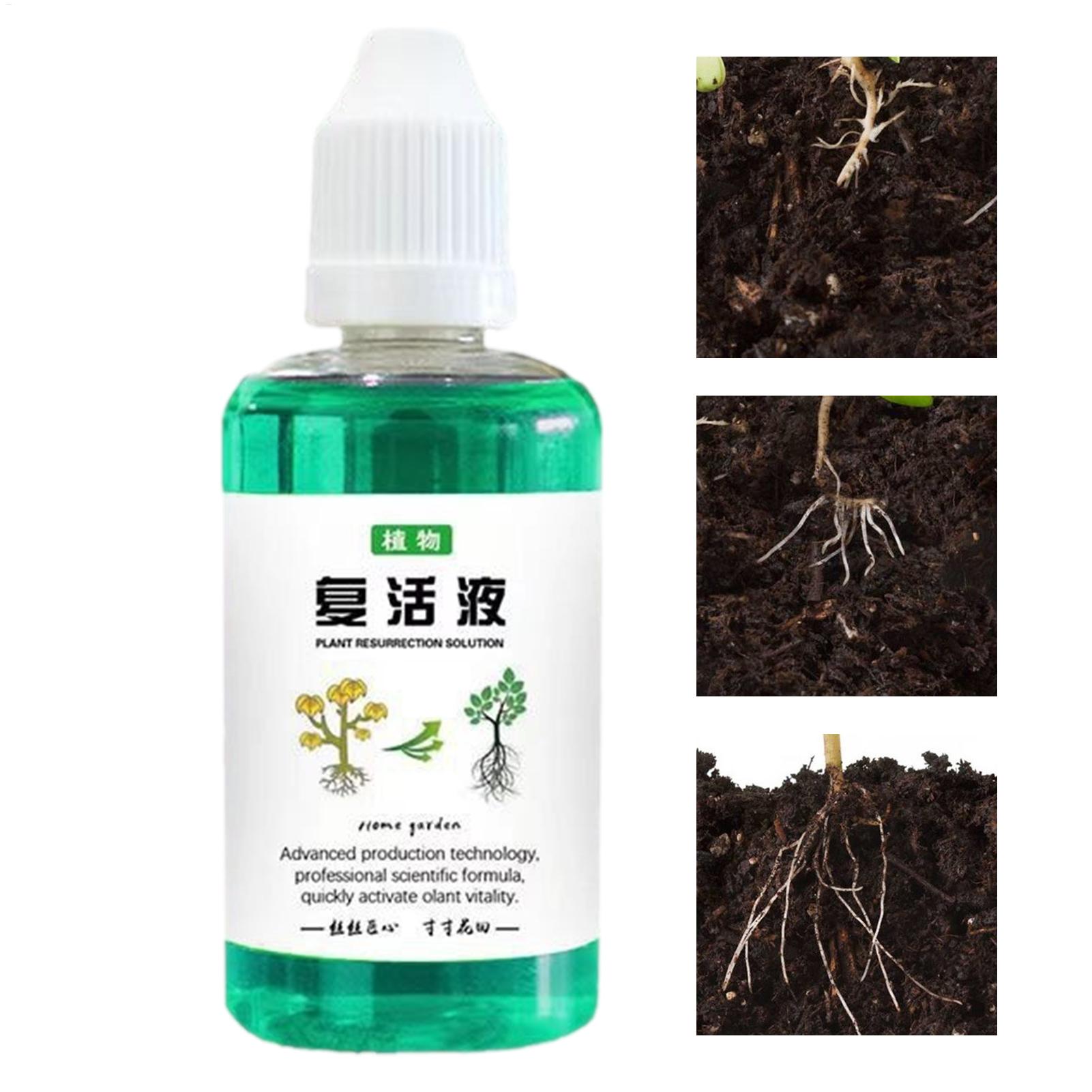 Root Stimulator Liquid - Estimulador de Raíces de 50 ml,