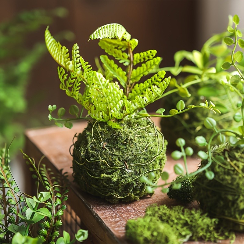 Sphagnum Moss Dry - Maceta con Bola de Musgo Artificial,