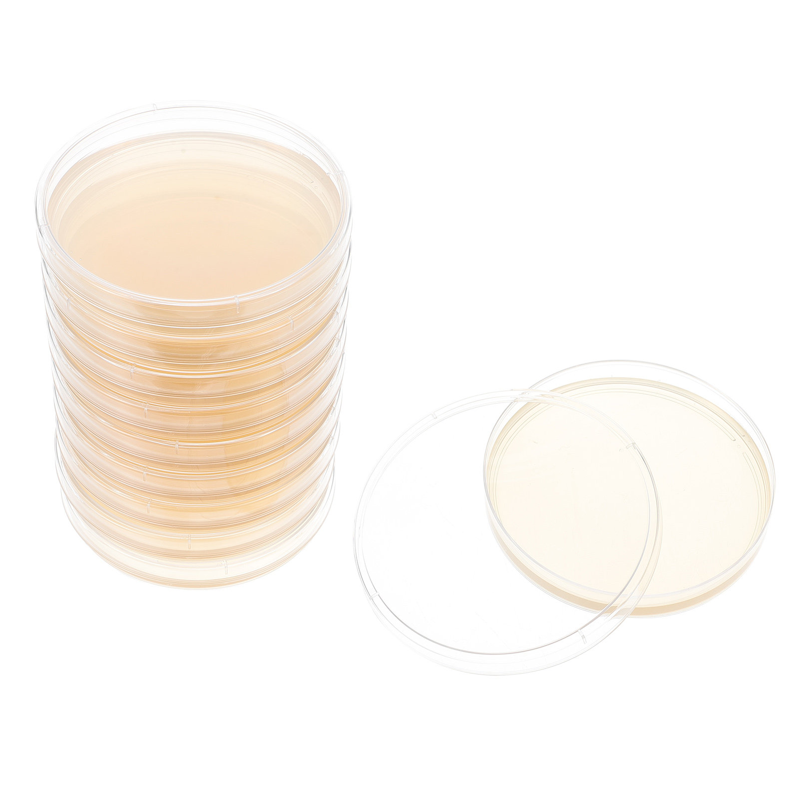 Agar Tissue Culture - 10 placas de agar nutritivo prellenadas
