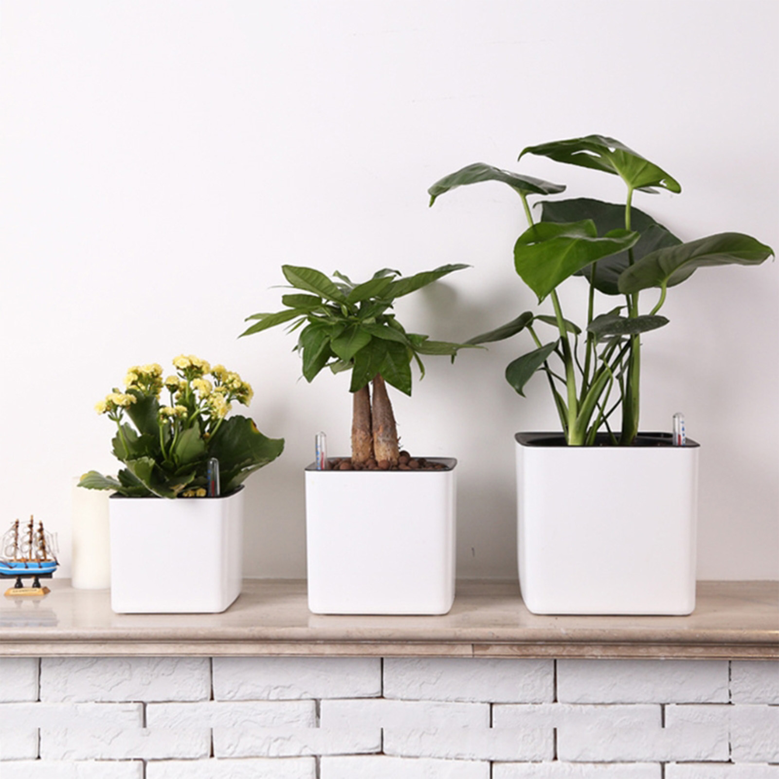 Self Watering Insert - Maceta con Sistema de Autorriego, Maceta