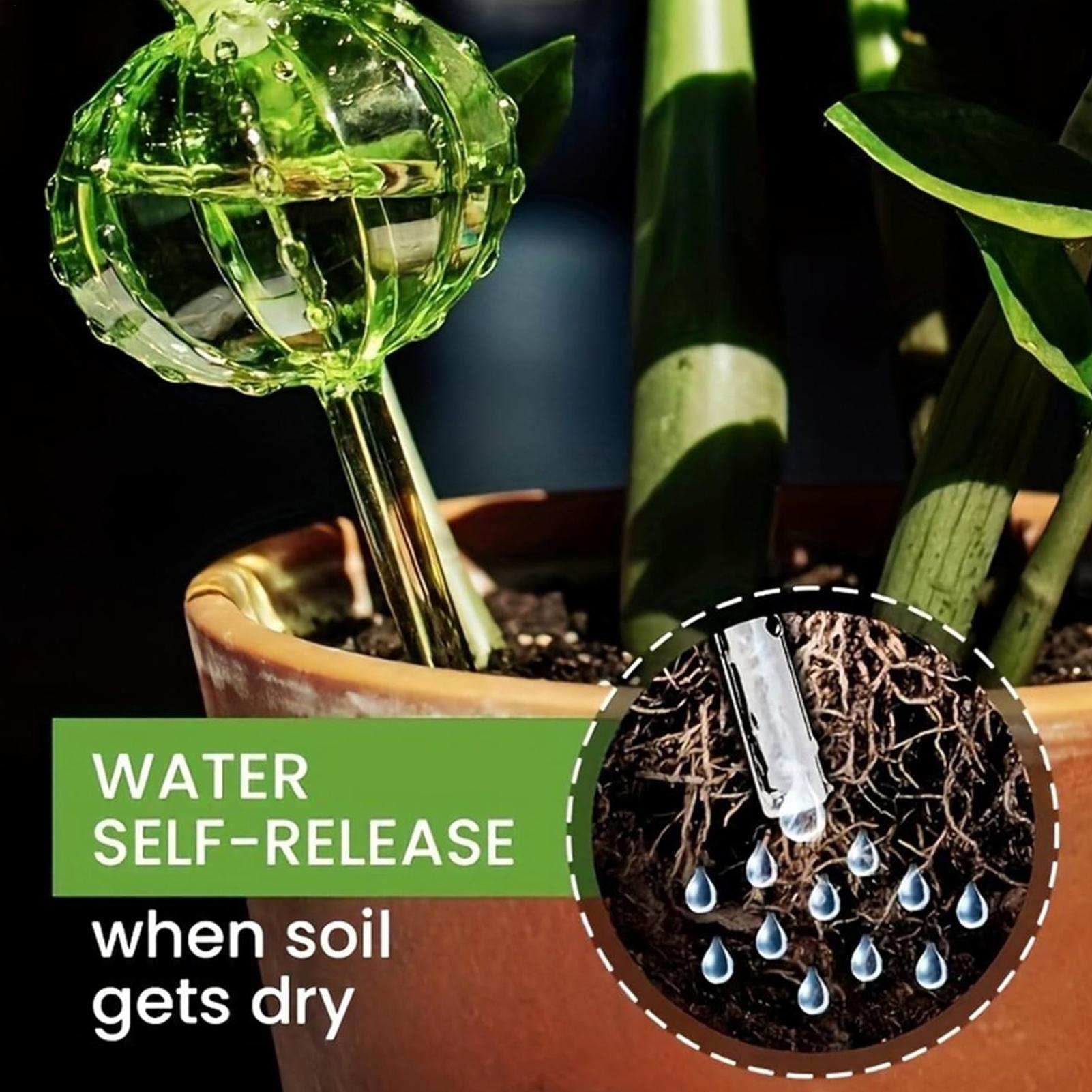 Self Watering Insert - Estacas de riego para plantas, 3