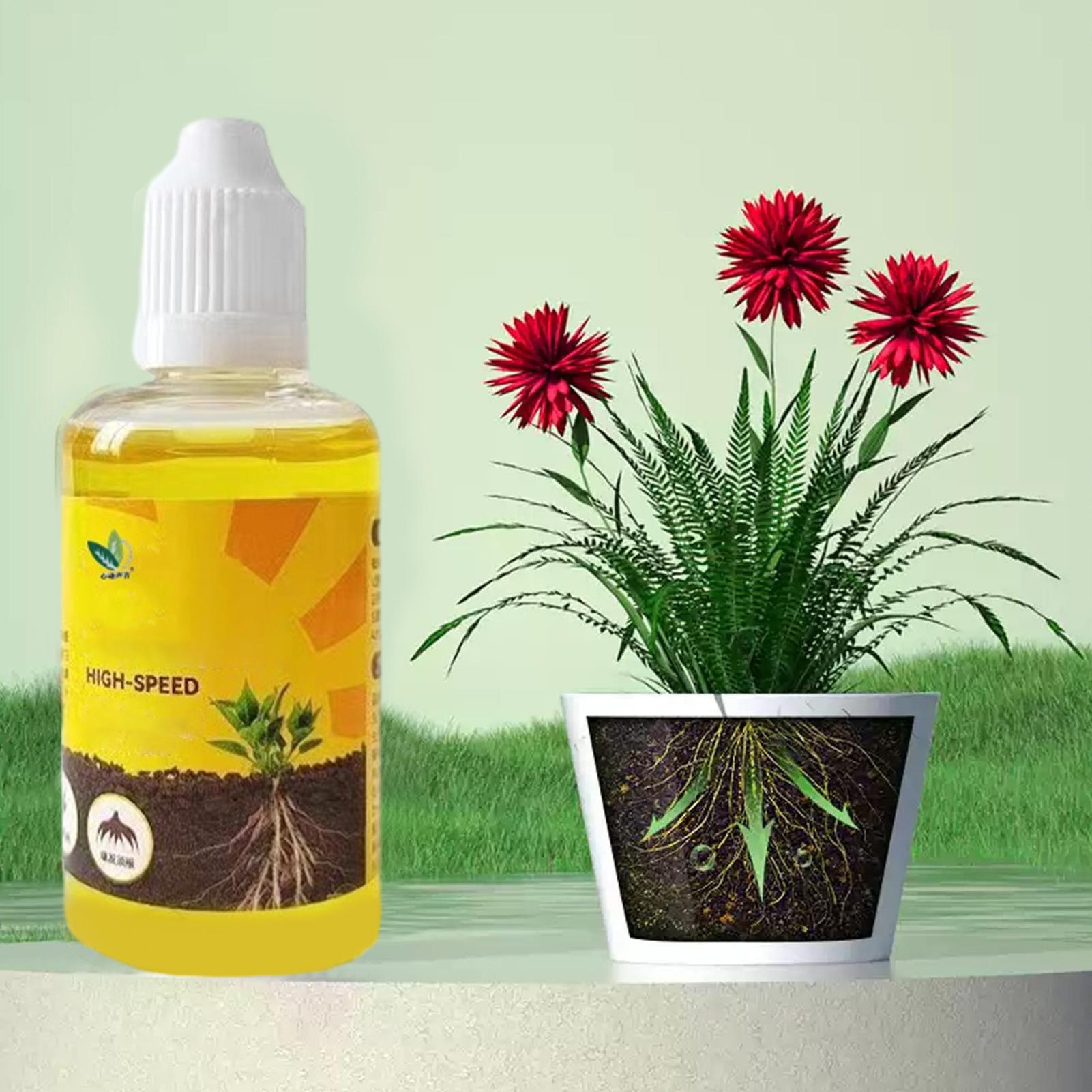 Root Stimulator Liquid - Solución de Enraizamiento Rápido para Plantas