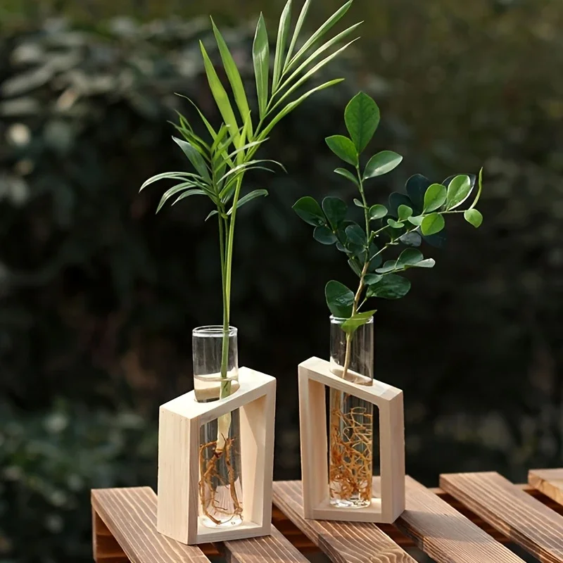 Propagation Station Vase - Tubo de ensayo, florero de vidrio,