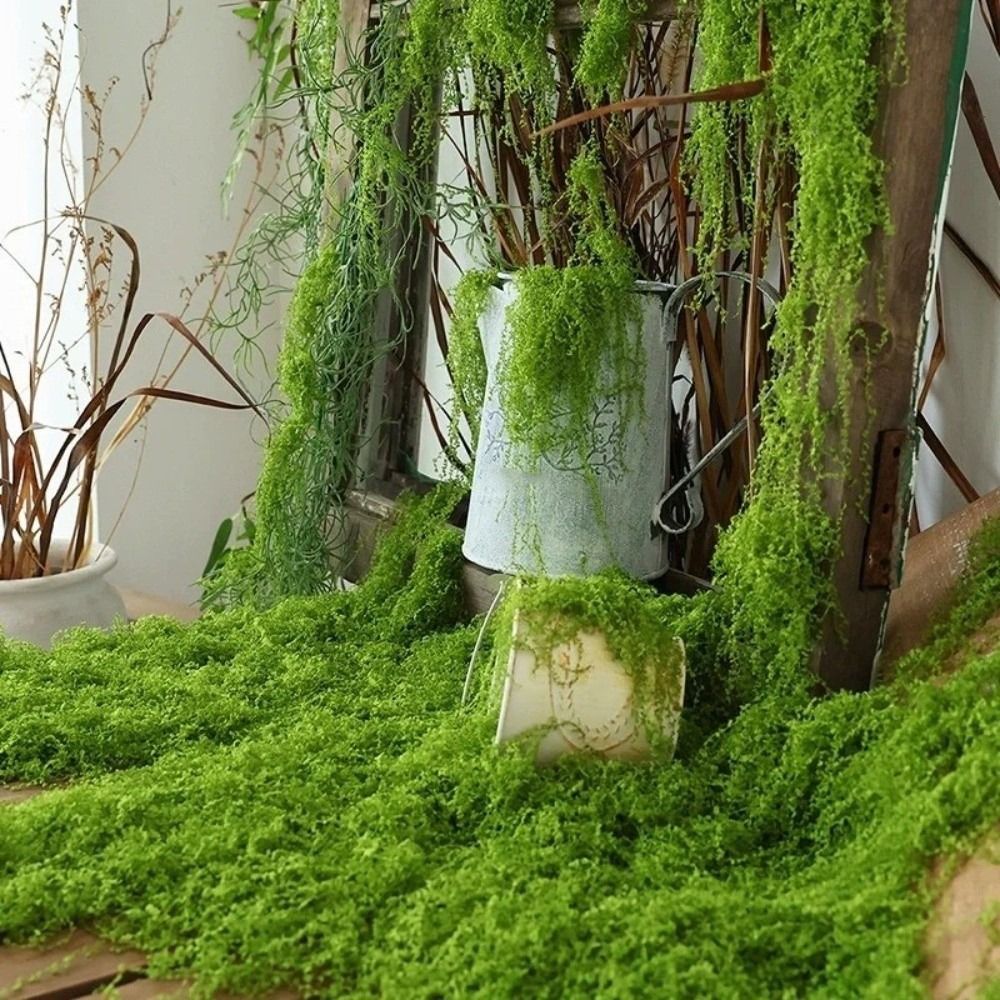 Sphagnum Moss Dry - Alfombra de Césped Artificial DIY, Duradera,