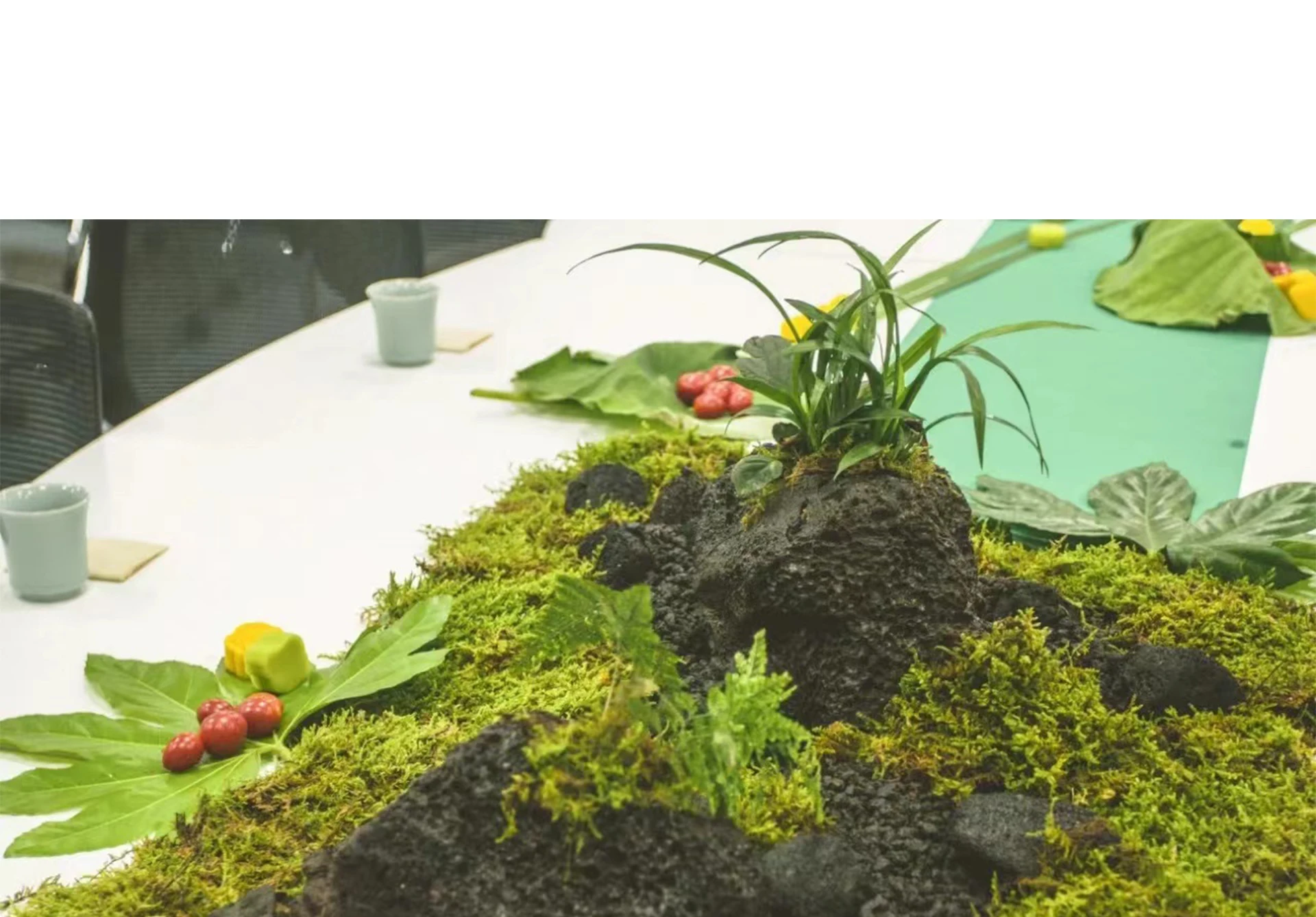 Musgo Artificial falso para pl - Sphagnum Moss Dry reseña y precio