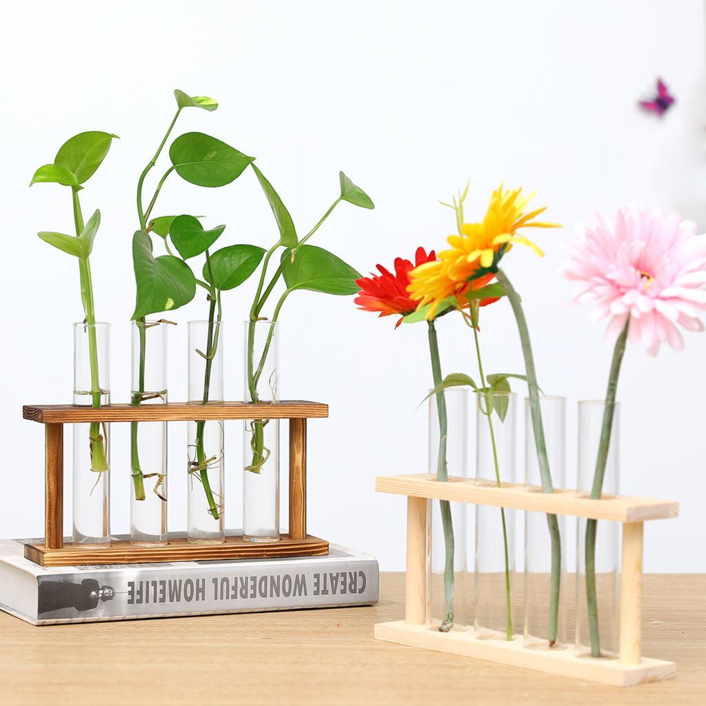 Soporte para Tubos de Ensayo,  - Propagation Station Vase reseña y precio
