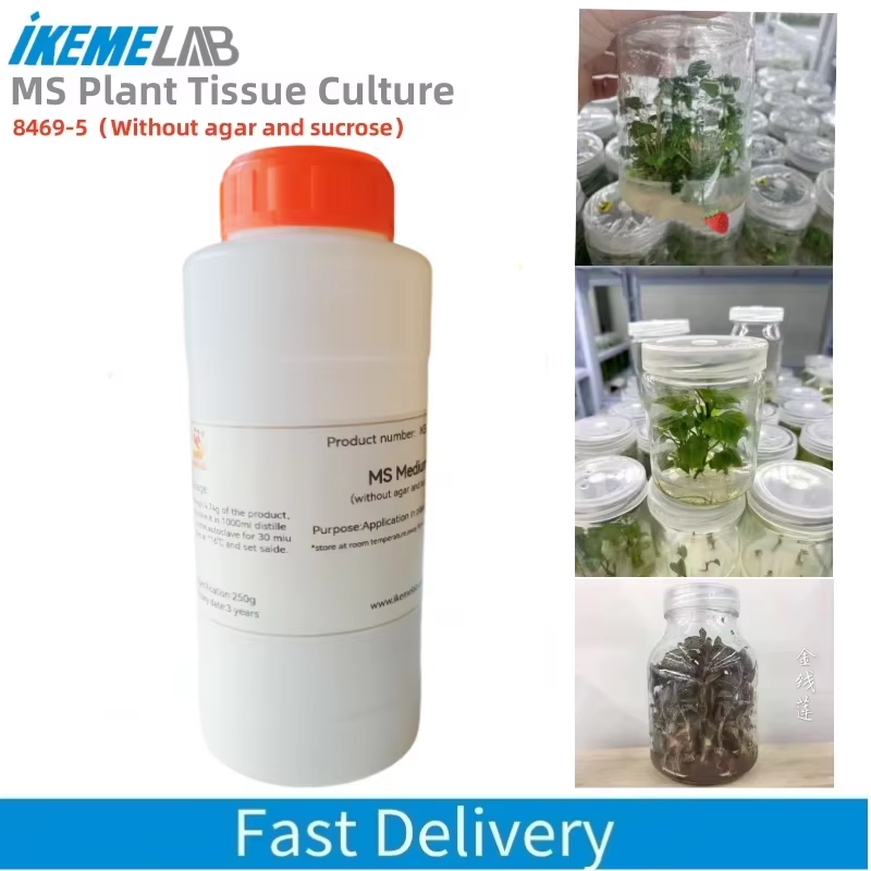 IKEME 250g Lab MS Mediano Sin  - Agar Tissue Culture reseña y precio