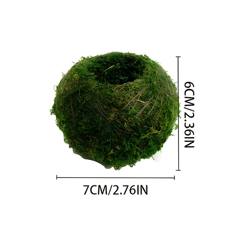 Maceta con Bola de Musgo Artif - Sphagnum Moss Dry reseña y precio