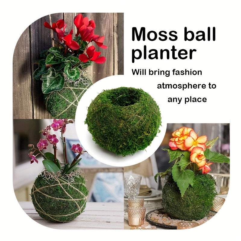 Maceta con Bola de Musgo Artif - Sphagnum Moss Dry reseña y precio