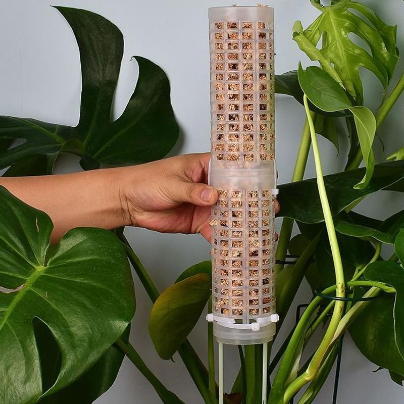 Accesorios de Plástico, Poste  - Sphagnum Moss Dry reseña y precio
