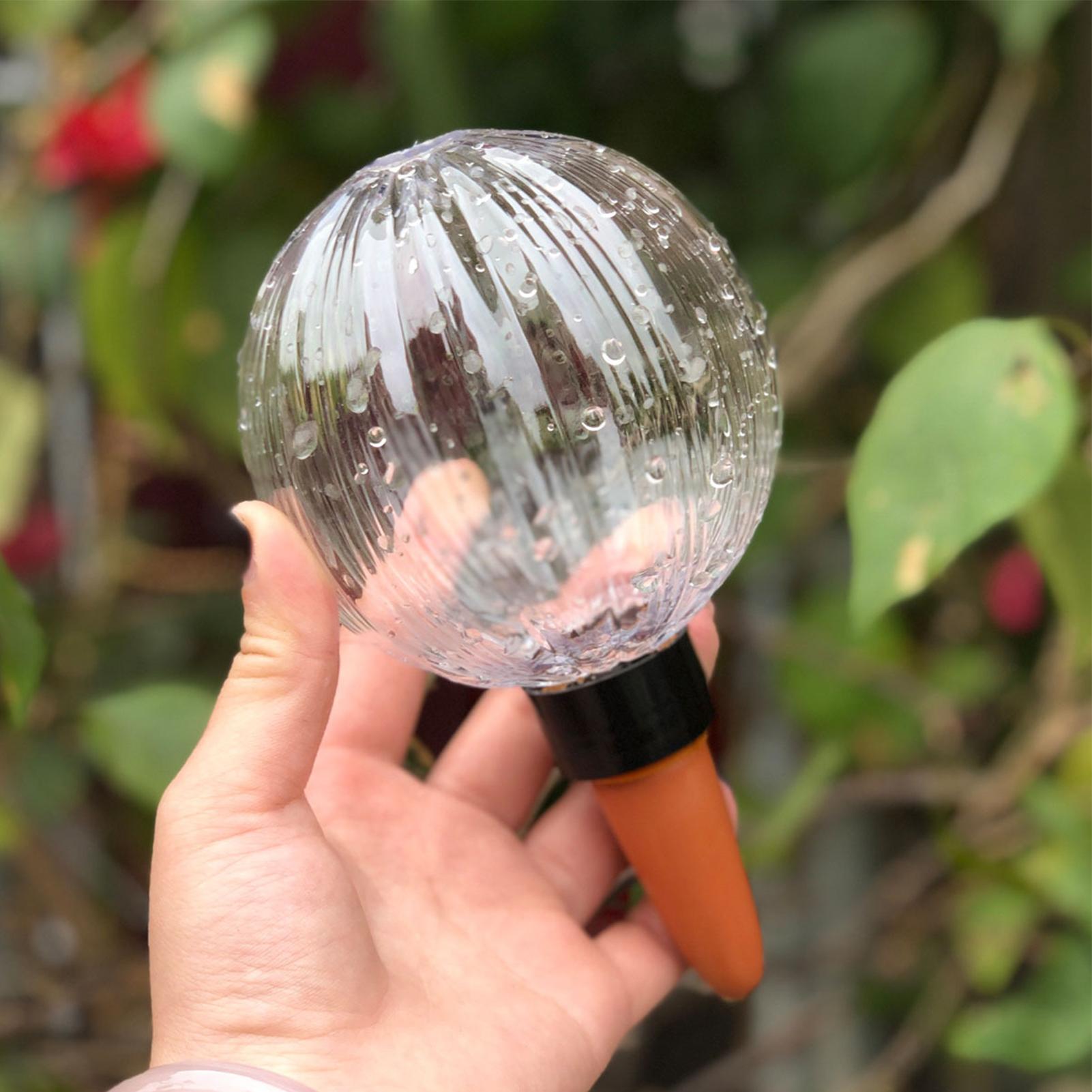 Inserto de autorriego para mac - Self Watering Insert reseña y precio