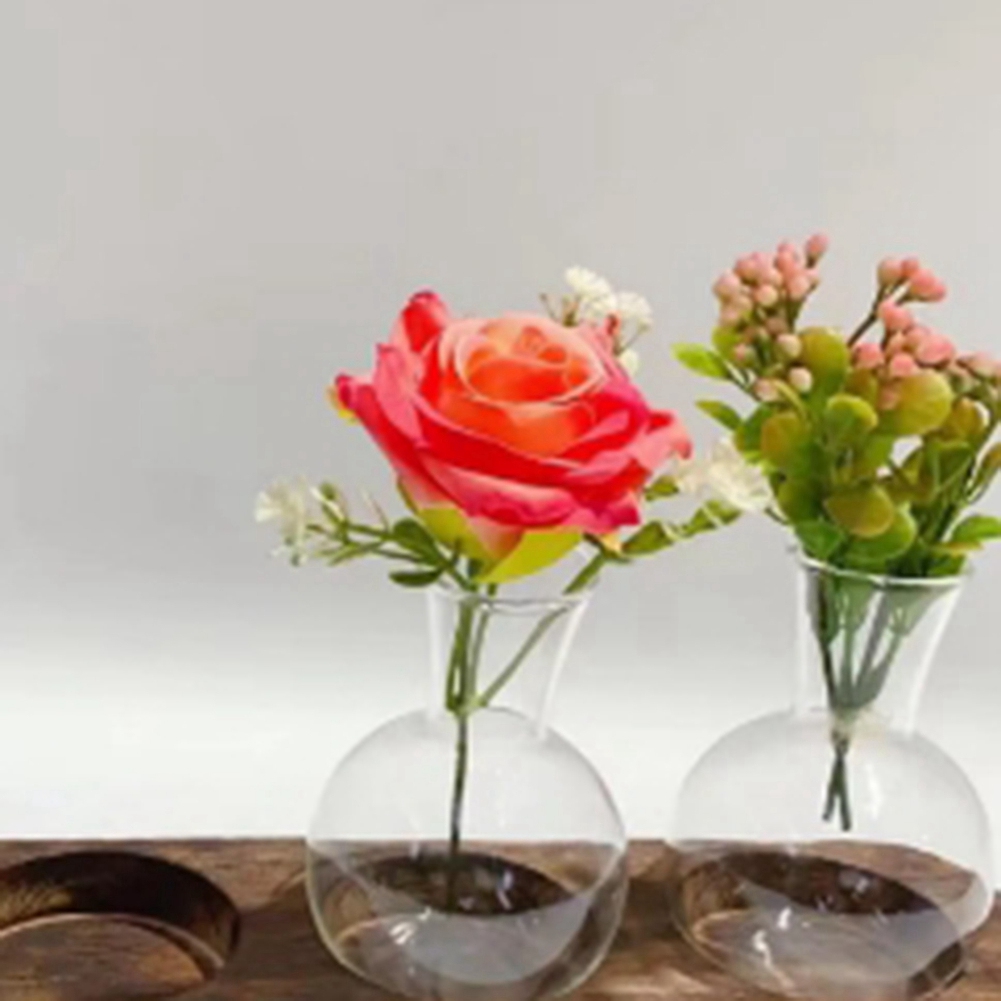 75STO-jarrones de plantas hidr - Propagation Station Vase reseña y precio