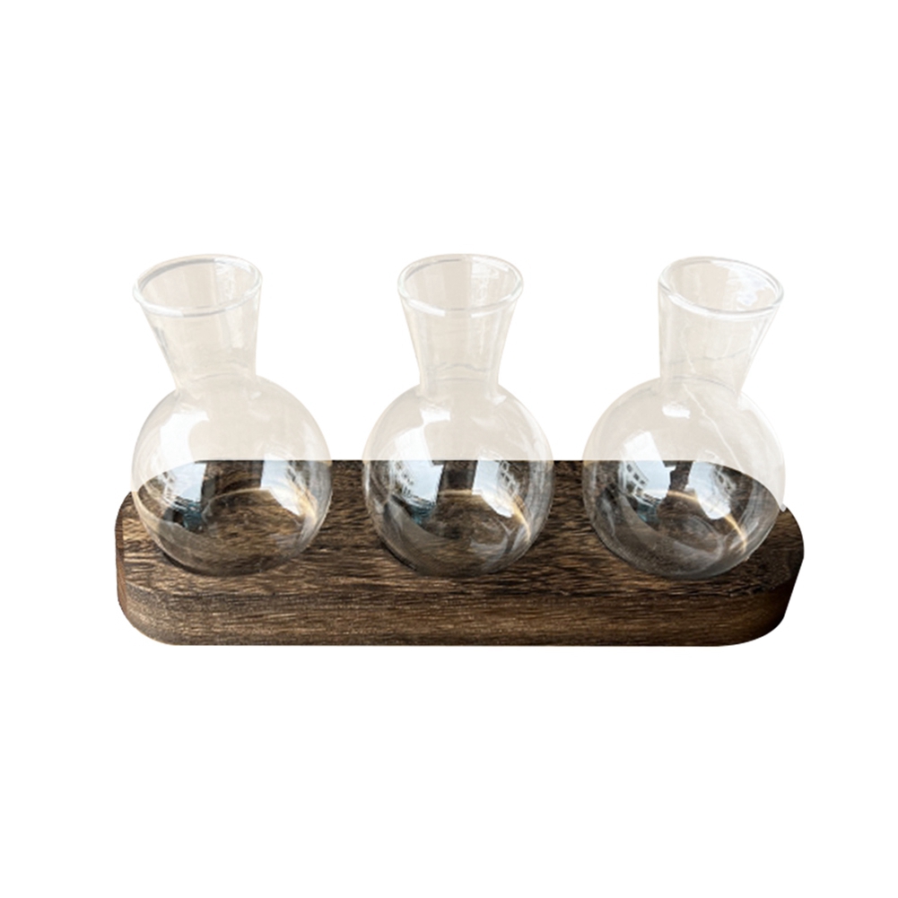 75STO-jarrones de plantas hidr - Propagation Station Vase reseña y precio