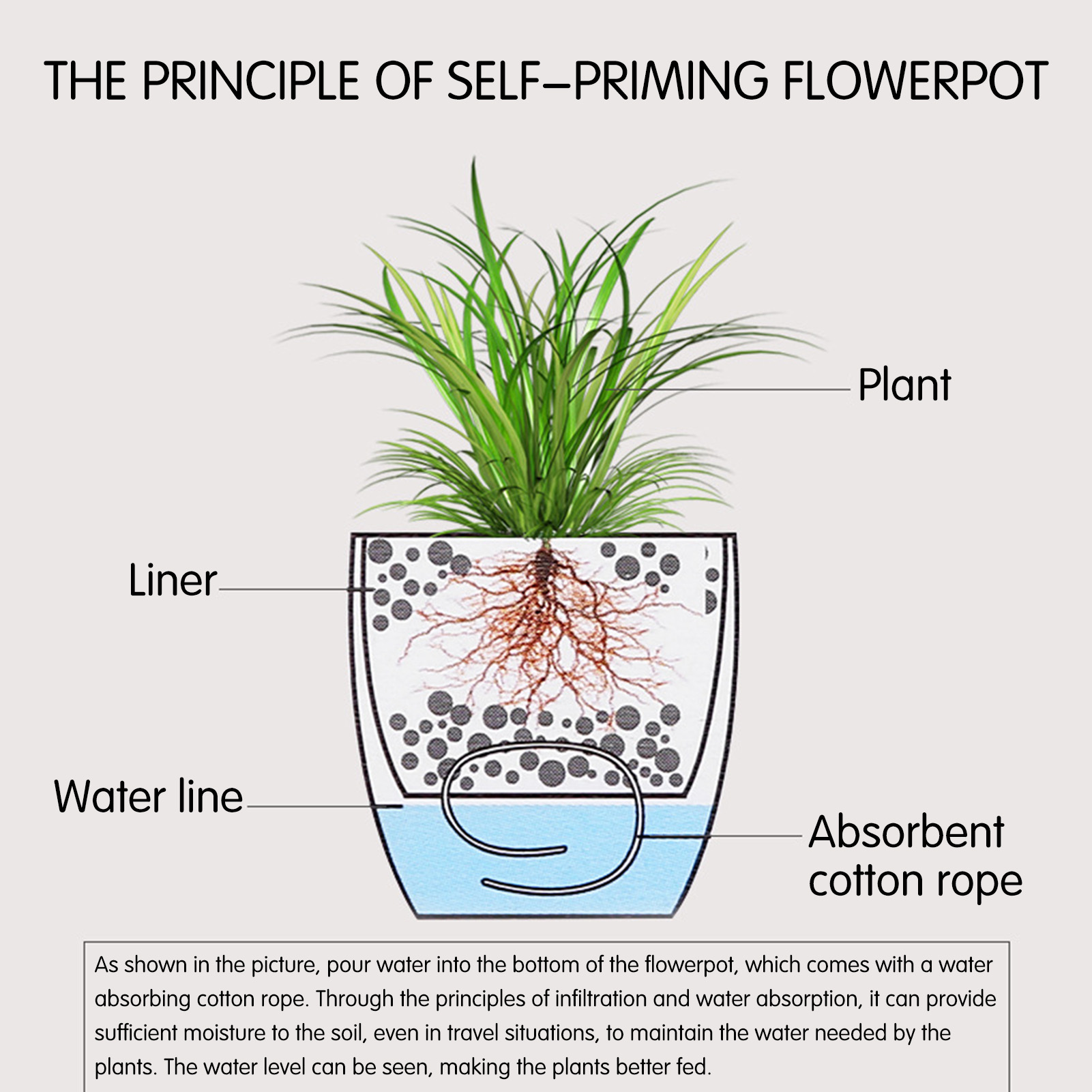 Macetas de plantas de flores c - Self Watering Insert reseña y precio