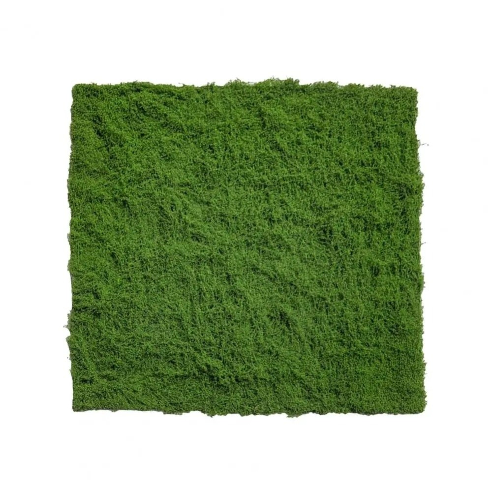 Alfombra de Césped Artificial  - Sphagnum Moss Dry reseña y precio