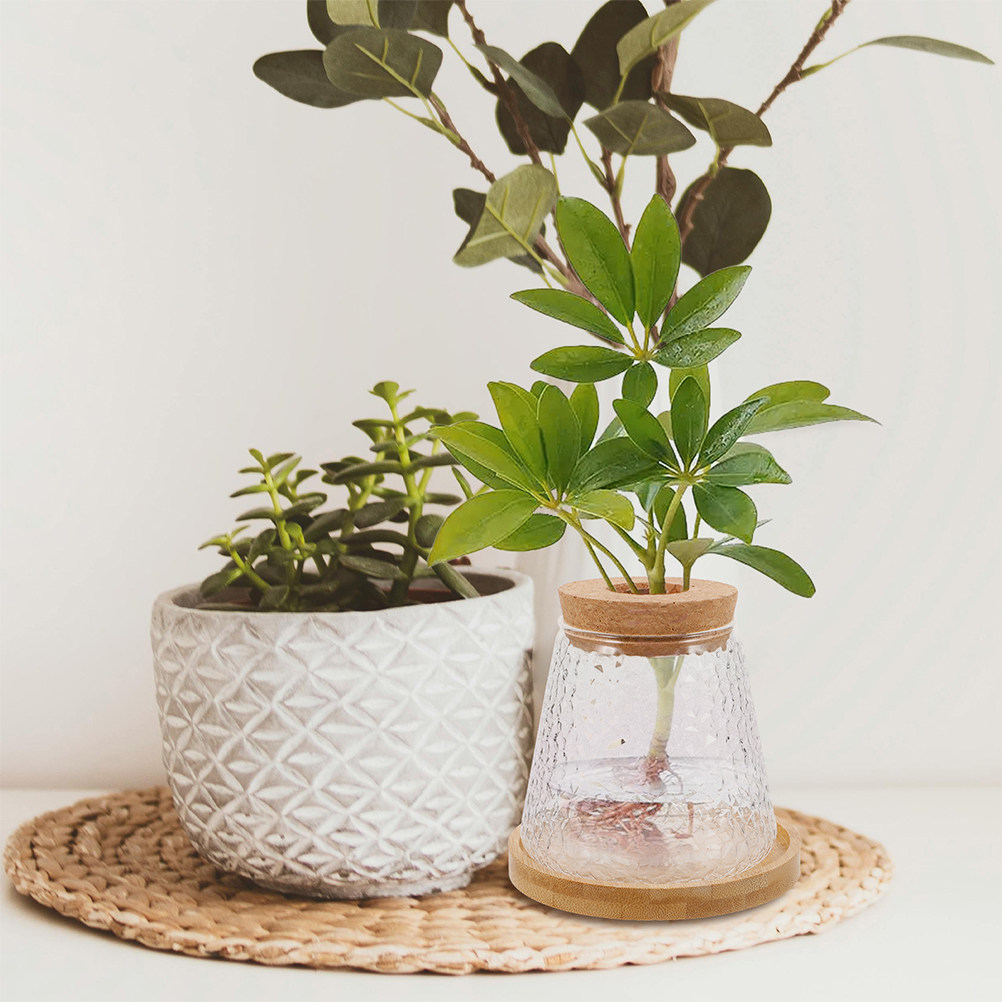 2 Jarrones de Vidrio para Cult - Propagation Station Vase reseña y precio