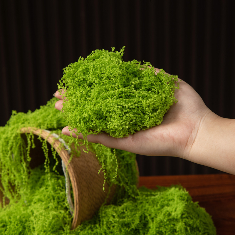 Musgo Eterno de 200g para Manu - Sphagnum Moss Dry reseña y precio