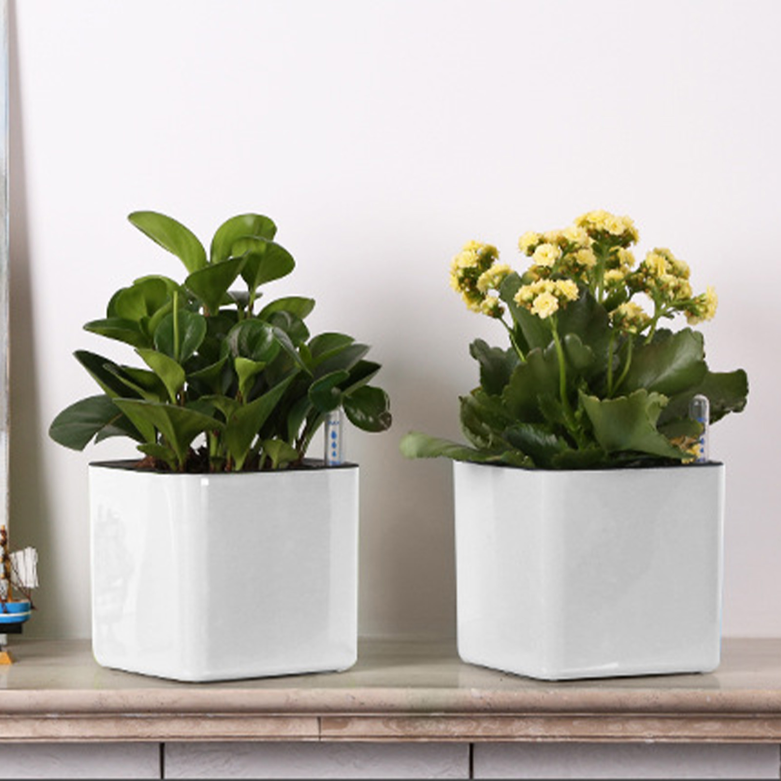 Maceta perezosa de 3 tamaños,  - Self Watering Insert reseña y precio