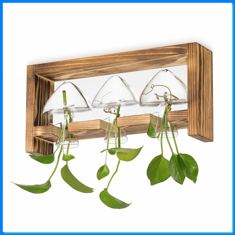 Estación de Propagación de Pla - Propagation Station Vase reseña y precio