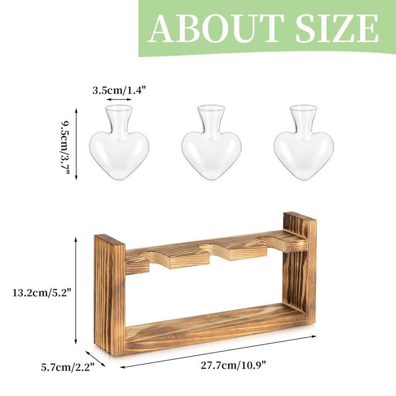 Estación de Propagación de Pla - Propagation Station Vase reseña y precio