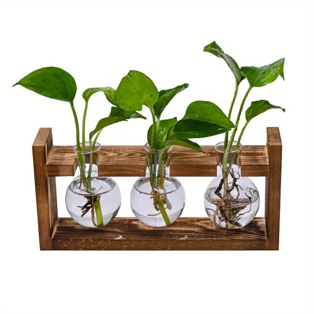Maceta de vidrio de mesa, esta - Propagation Station Vase reseña y precio