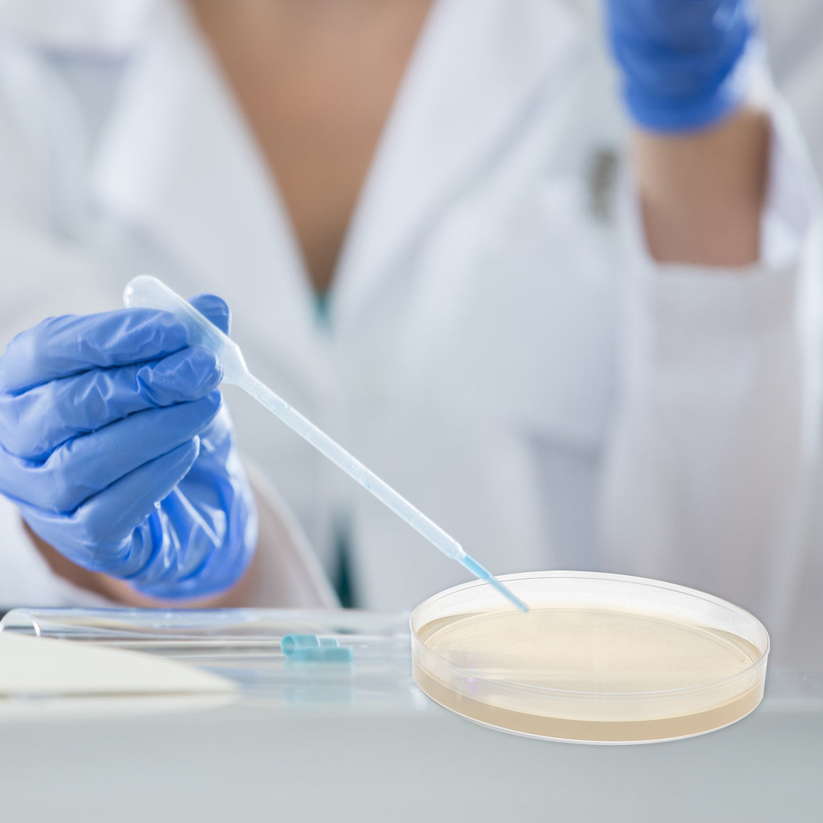 10 placas de agar nutritivo pr - Agar Tissue Culture reseña y precio