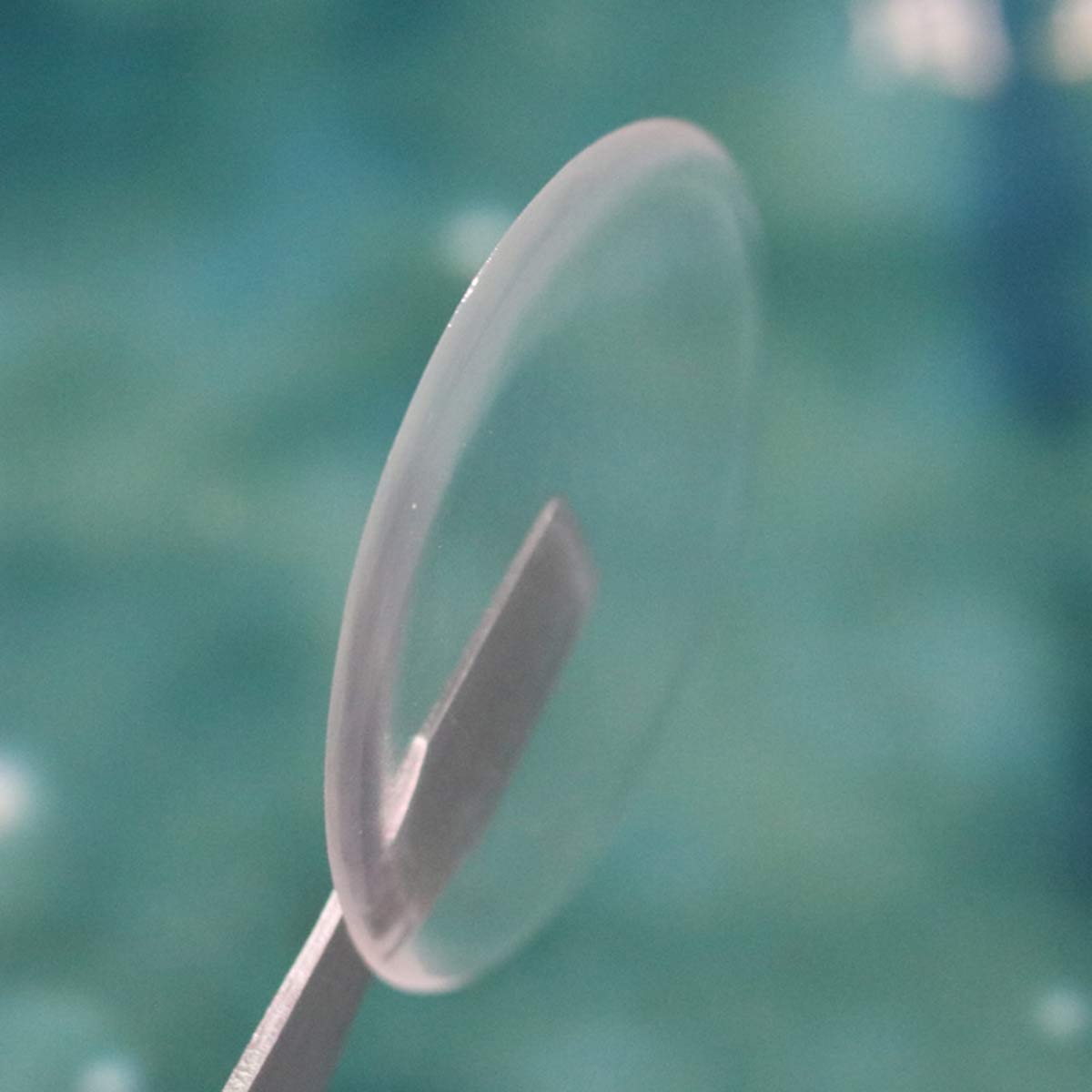 100 Uds nuevas pegatinas de cú - Plastic Dome Clear reseña y precio