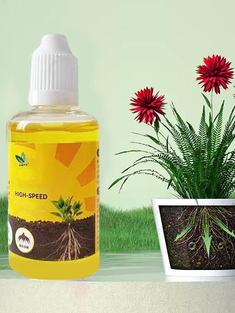 Estimulador de Enraizamiento d - Root Stimulator Liquid reseña y precio