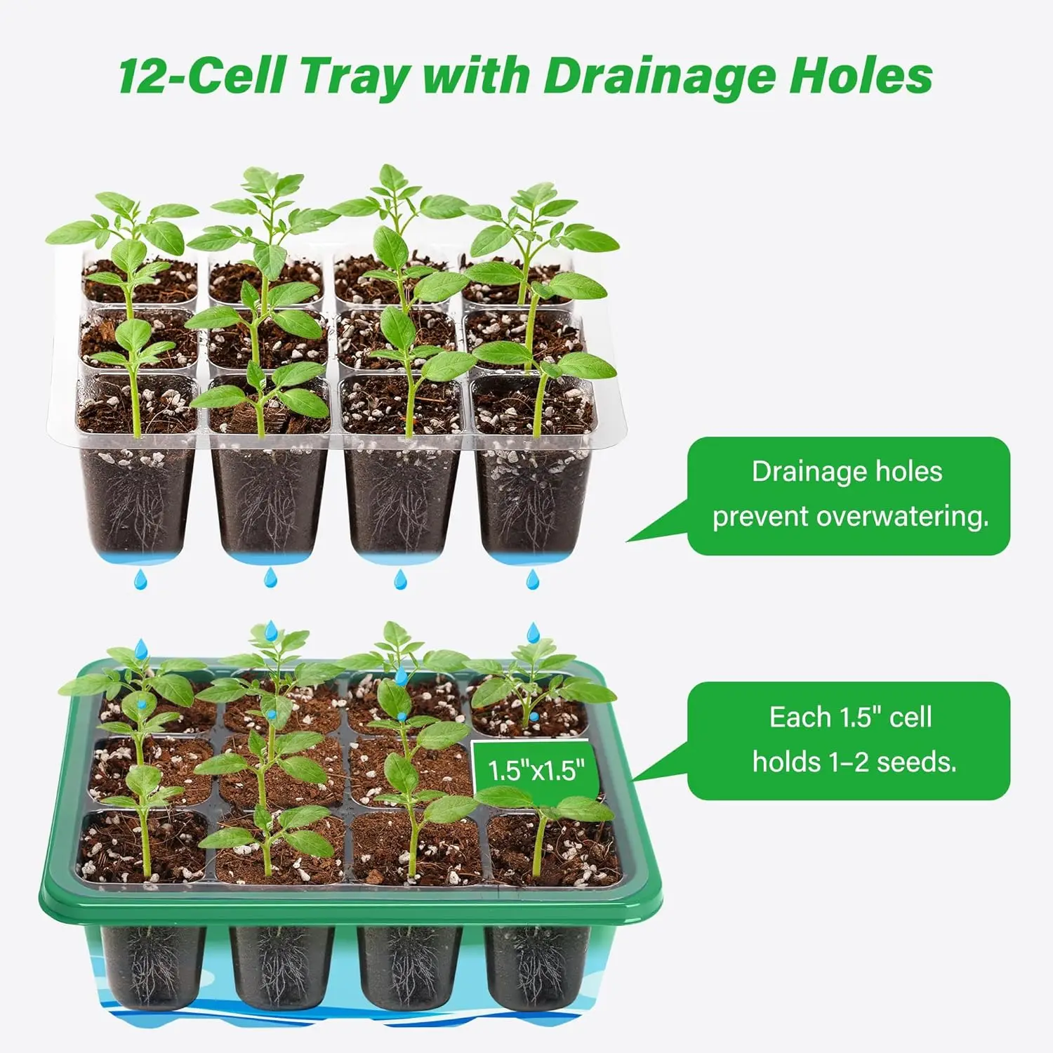 Kit de Inicio de Cultivo con B - Humidity Dome Kit reseña y precio