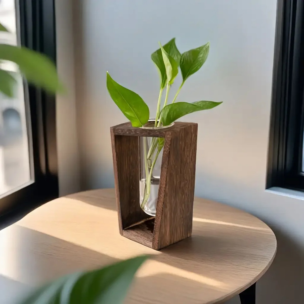 Estación de Propagación de Pla - Propagation Station Vase reseña y precio