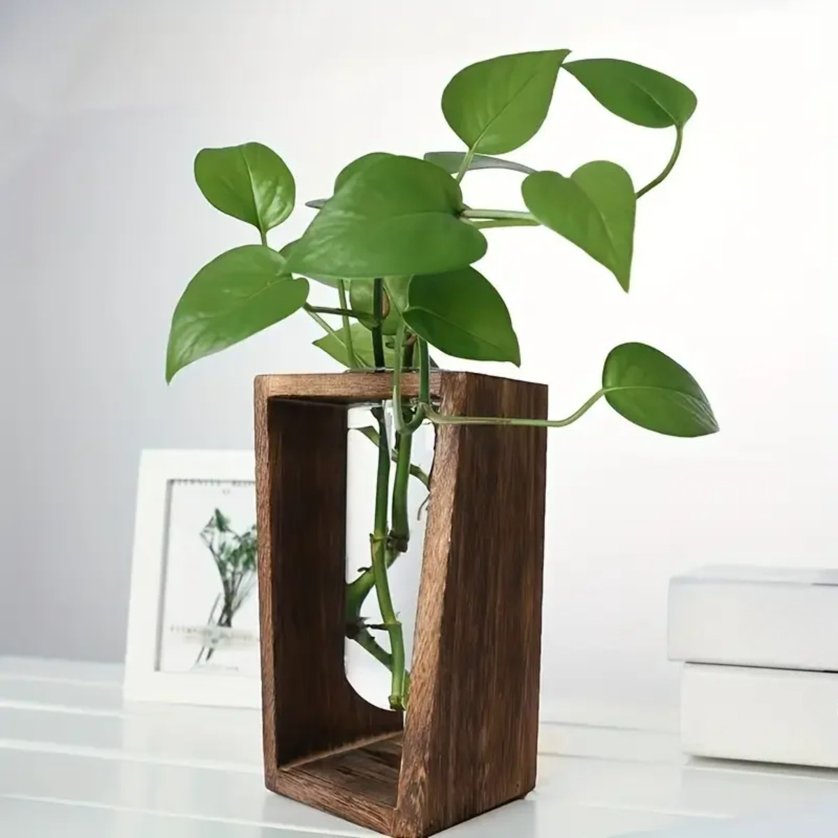 Estación de Propagación de Pla - Propagation Station Vase reseña y precio