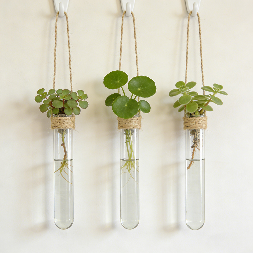 Jarrón Hidropónico de Pared, J - Propagation Station Vase reseña y precio
