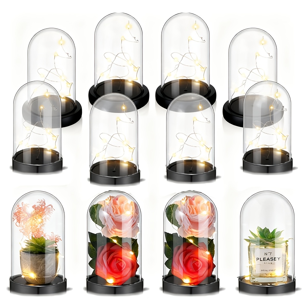 Jarrón de Plástico Transparent - Plastic Dome Clear reseña y precio