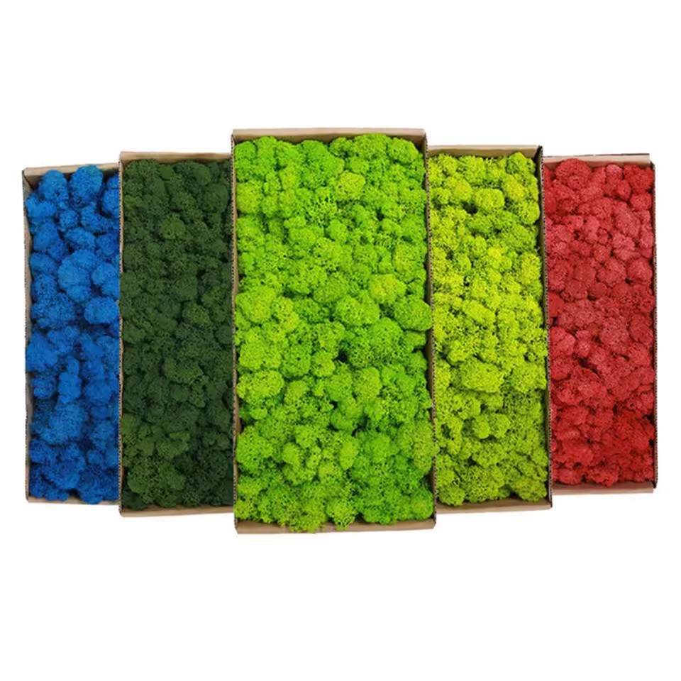 Plantas verdes artificiales de - Sphagnum Moss Dry reseña y precio