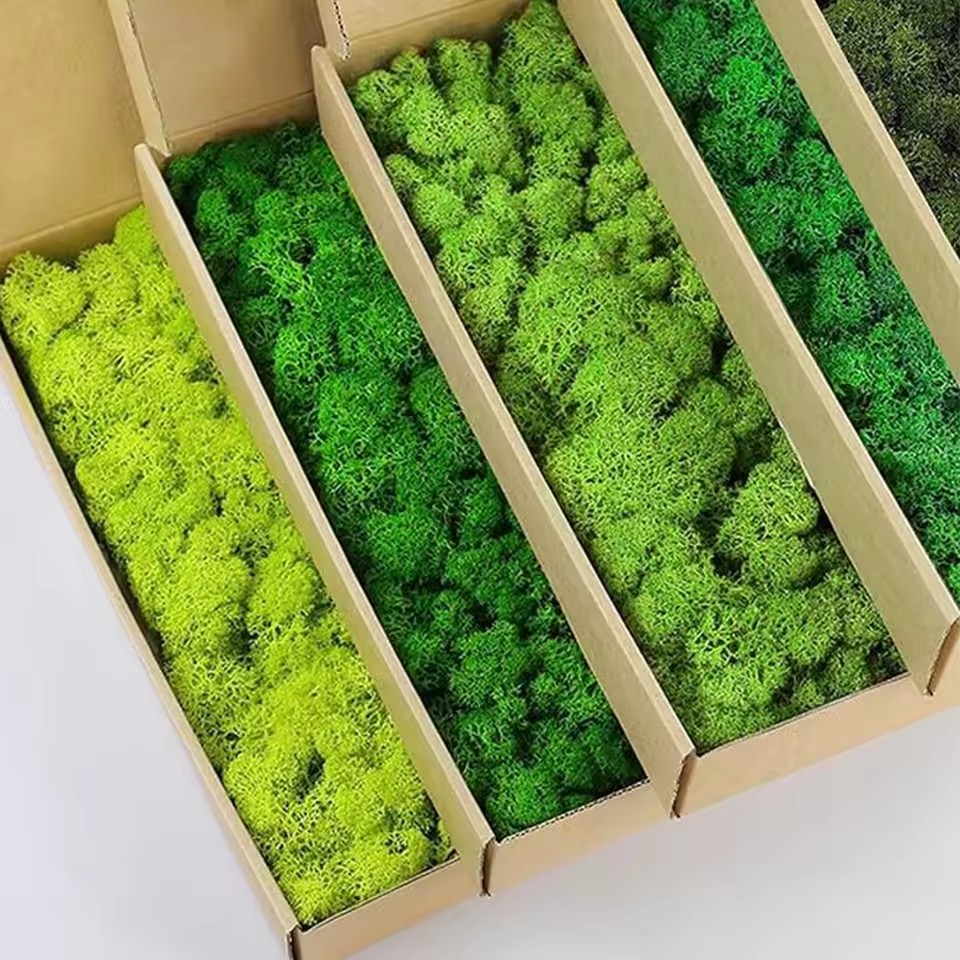 Plantas verdes artificiales de - Sphagnum Moss Dry reseña y precio