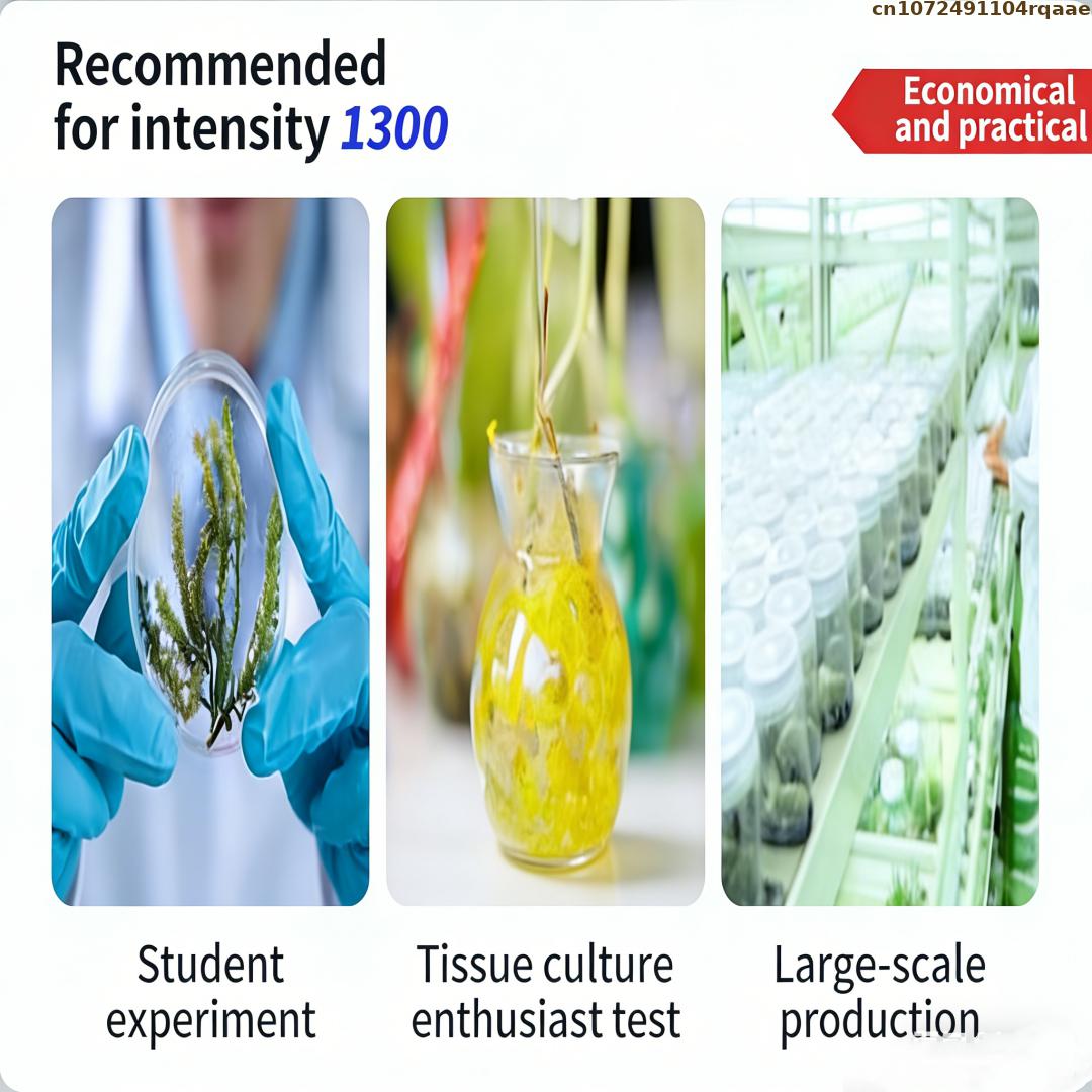 Agar en Polvo Premium para Cul - Agar Tissue Culture reseña y precio