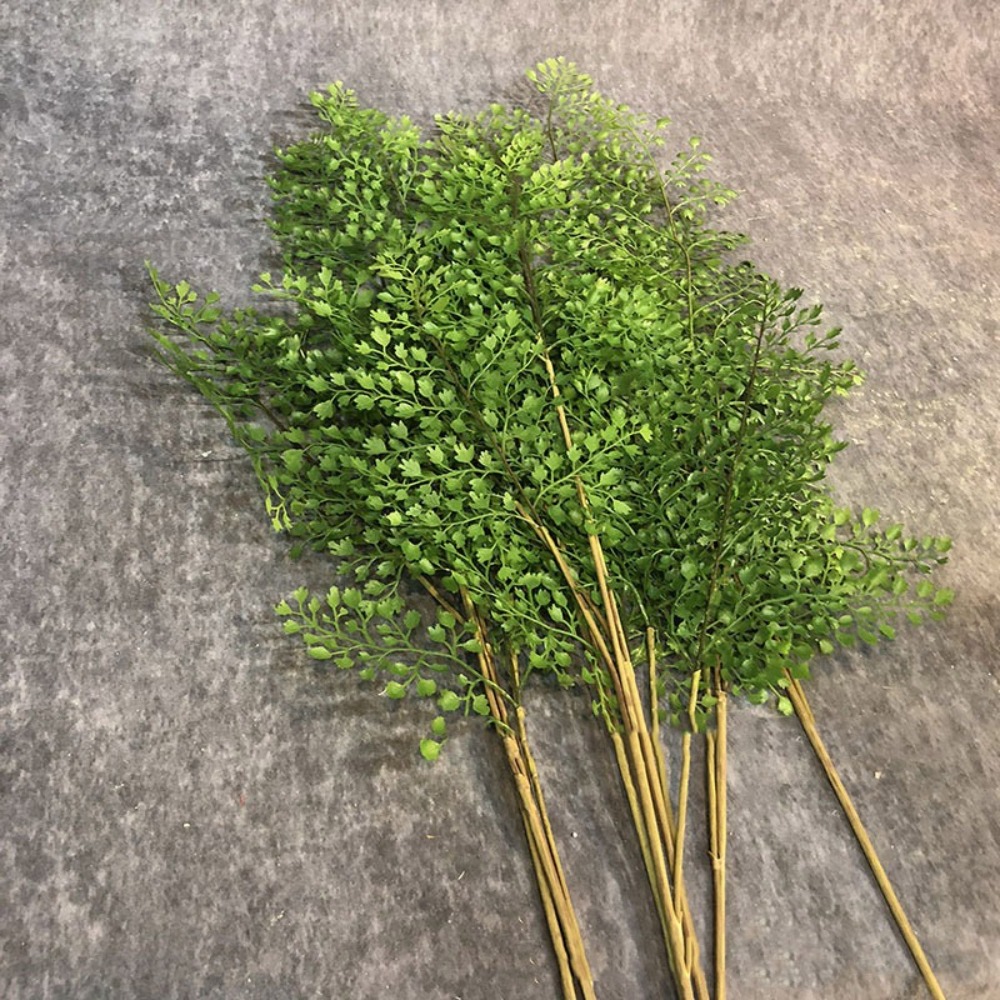 Ramas de plantas de helecho ar - Sphagnum Moss Dry reseña y precio