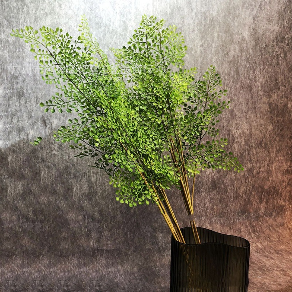 Ramas de plantas de helecho ar - Sphagnum Moss Dry reseña y precio