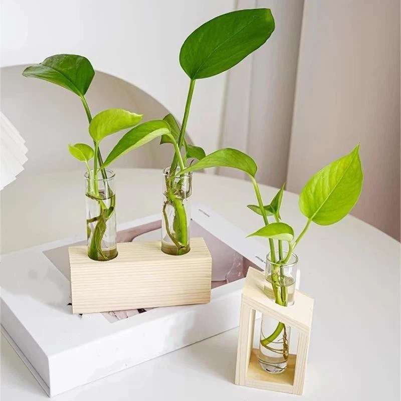 Florero de vidrio tipo tubo de - Propagation Station Vase reseña y precio