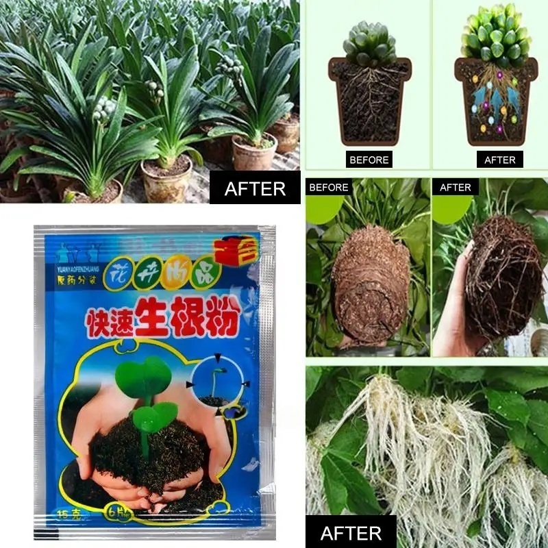 5 uds. De polvo de enraizamien - Rooting Hormone Powder reseña y precio