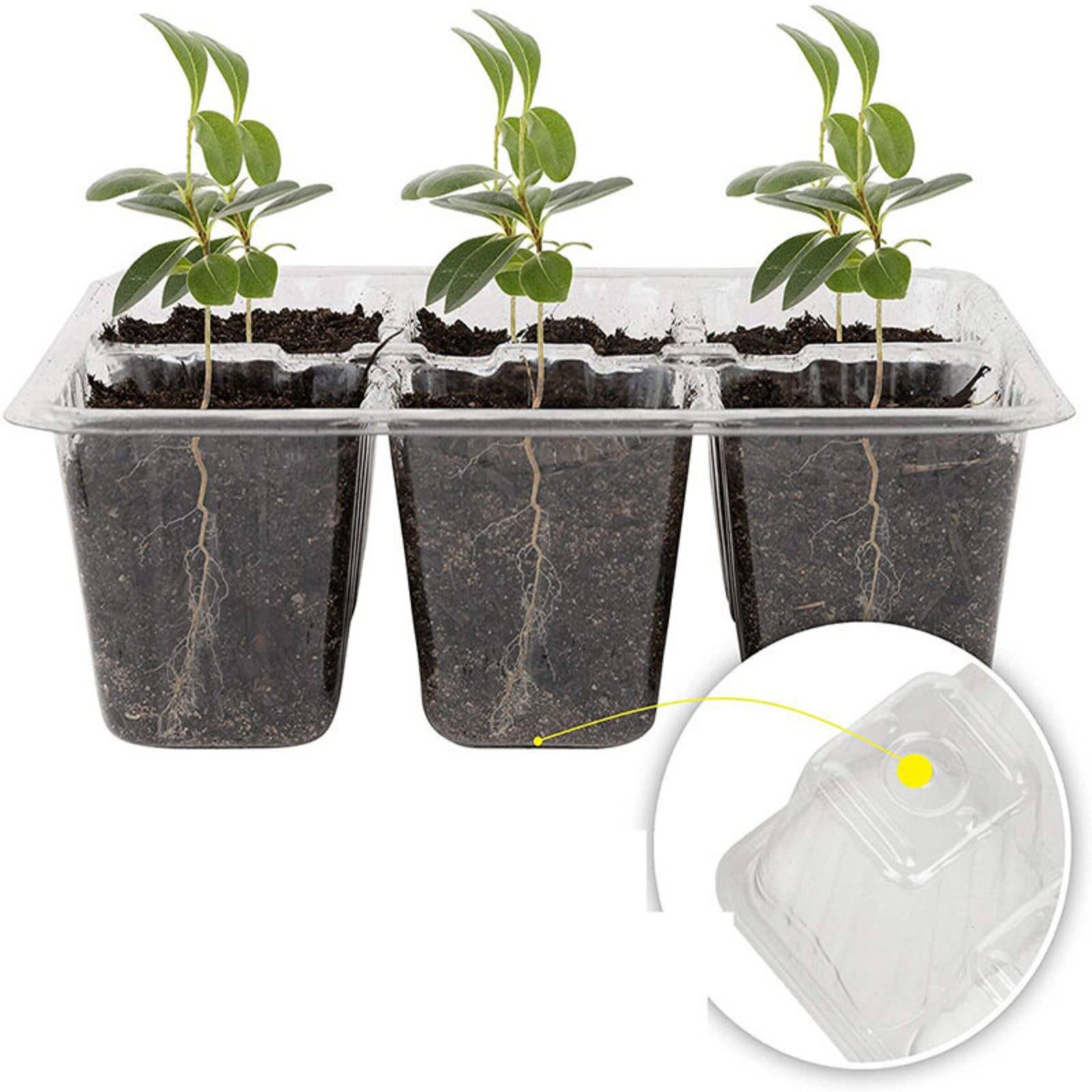Bandeja de Germinación de 12 C - Humidity Dome Kit reseña y precio