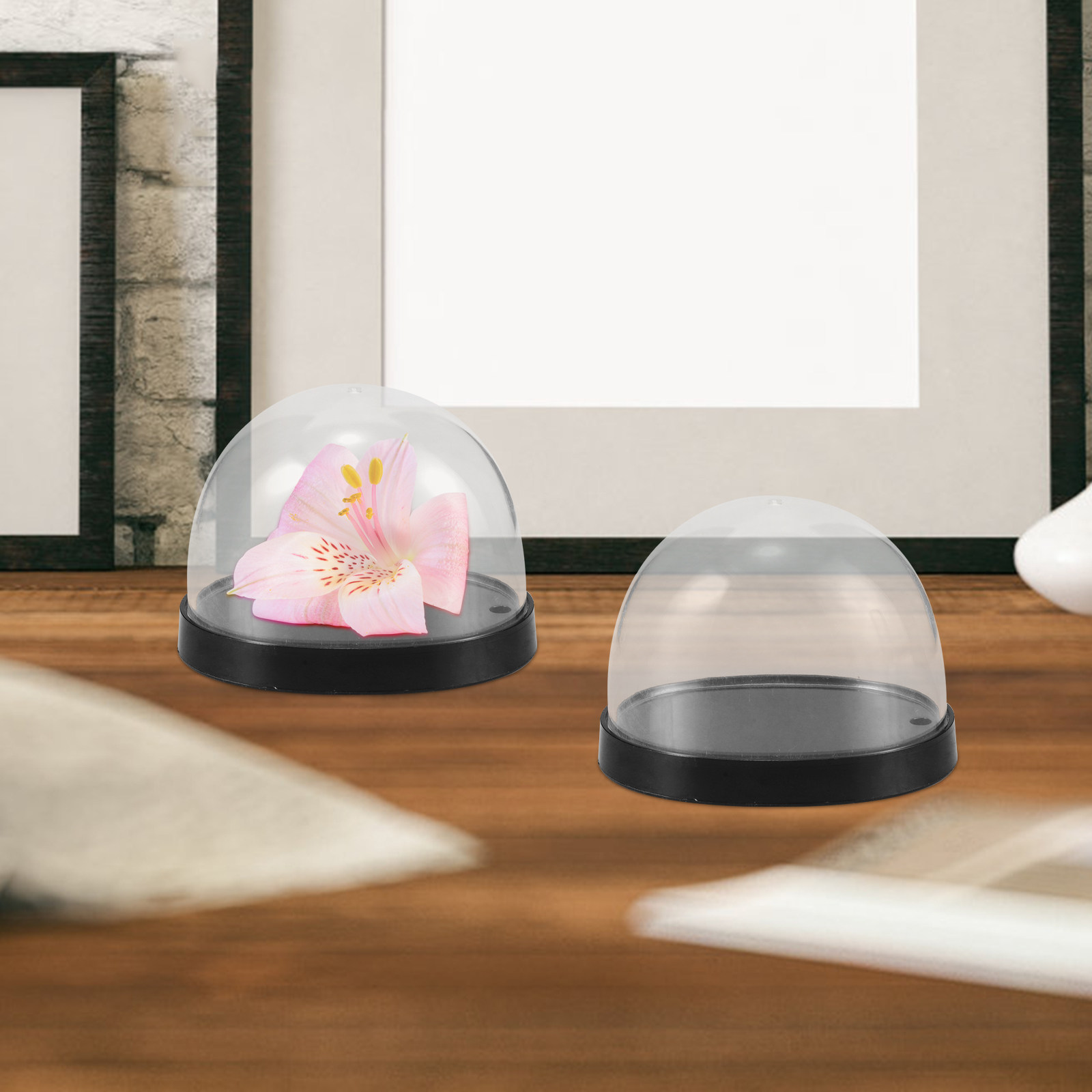 5 Juegos de Cúpulas de Plástic - Plastic Dome Clear reseña y precio