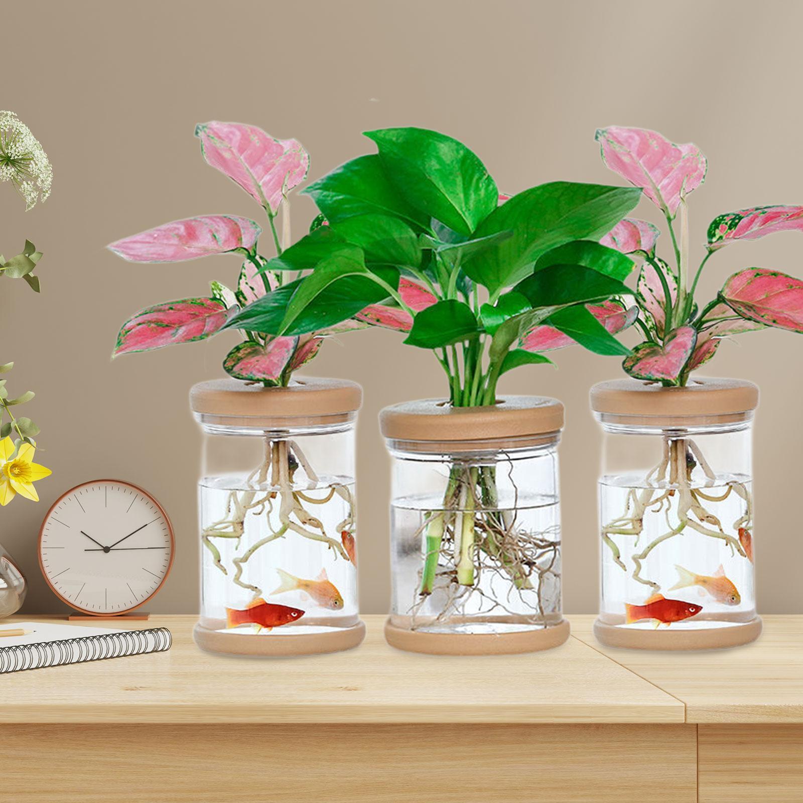 Floreros hidropónicos de 3 uds - Propagation Station Vase reseña y precio