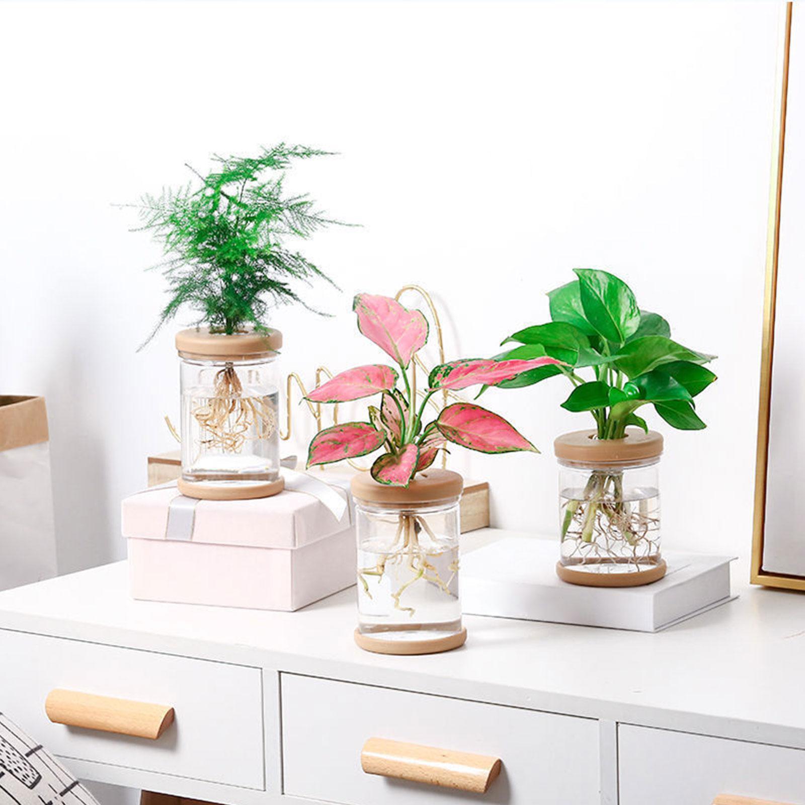Floreros hidropónicos de 3 uds - Propagation Station Vase reseña y precio