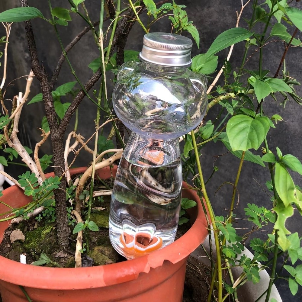 Dispositivo de Riego Automátic - Self Watering Insert reseña y precio