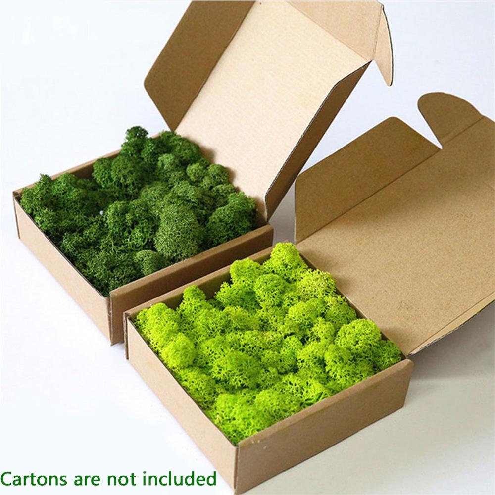 Planta Artificial de vida eter - Sphagnum Moss Dry reseña y precio