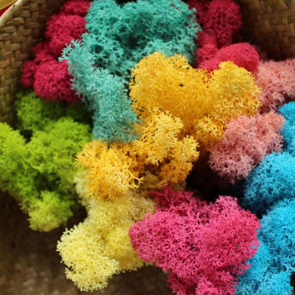 Planta Artificial de vida eter - Sphagnum Moss Dry reseña y precio