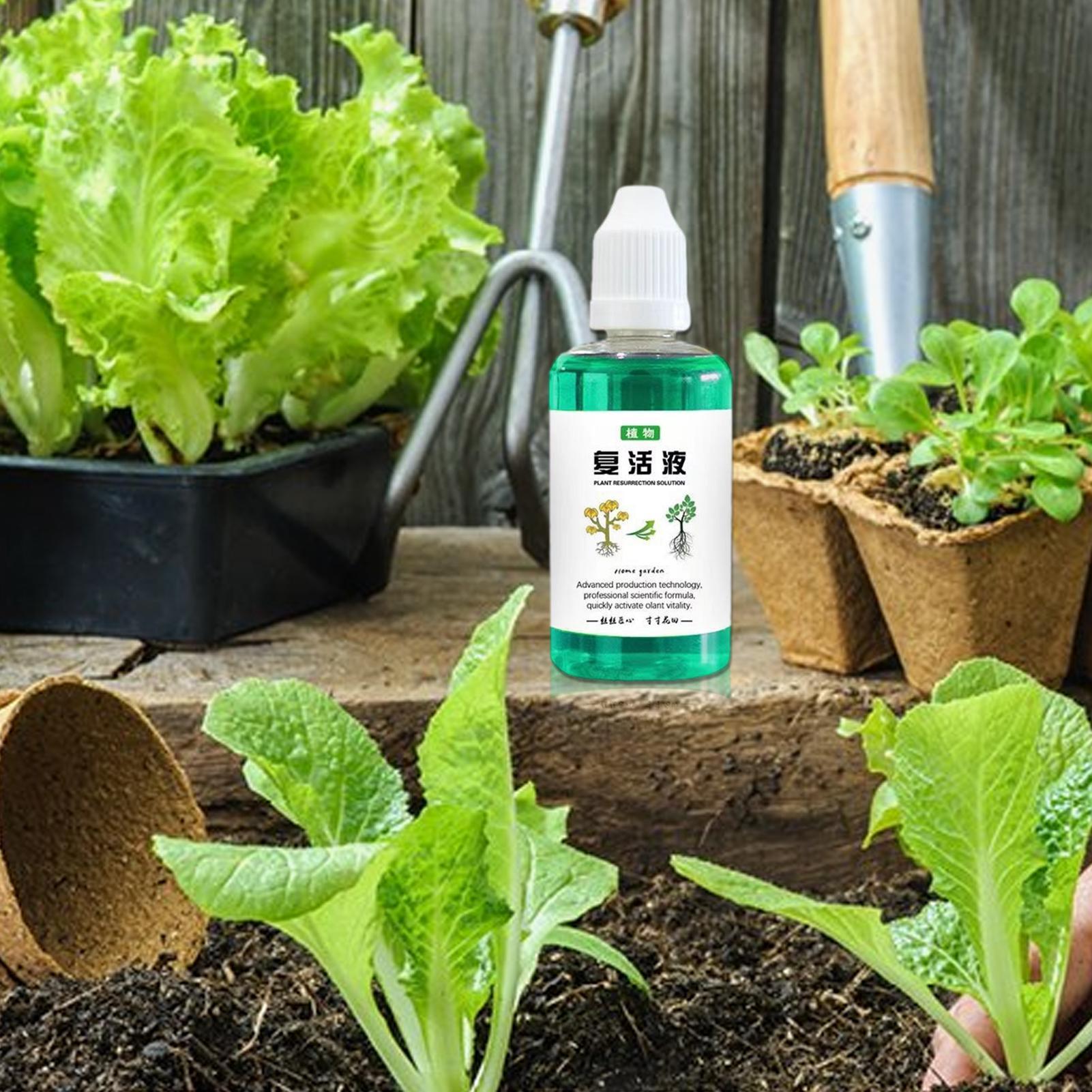 Estimulador de raíces para pla - Root Stimulator Liquid reseña y precio