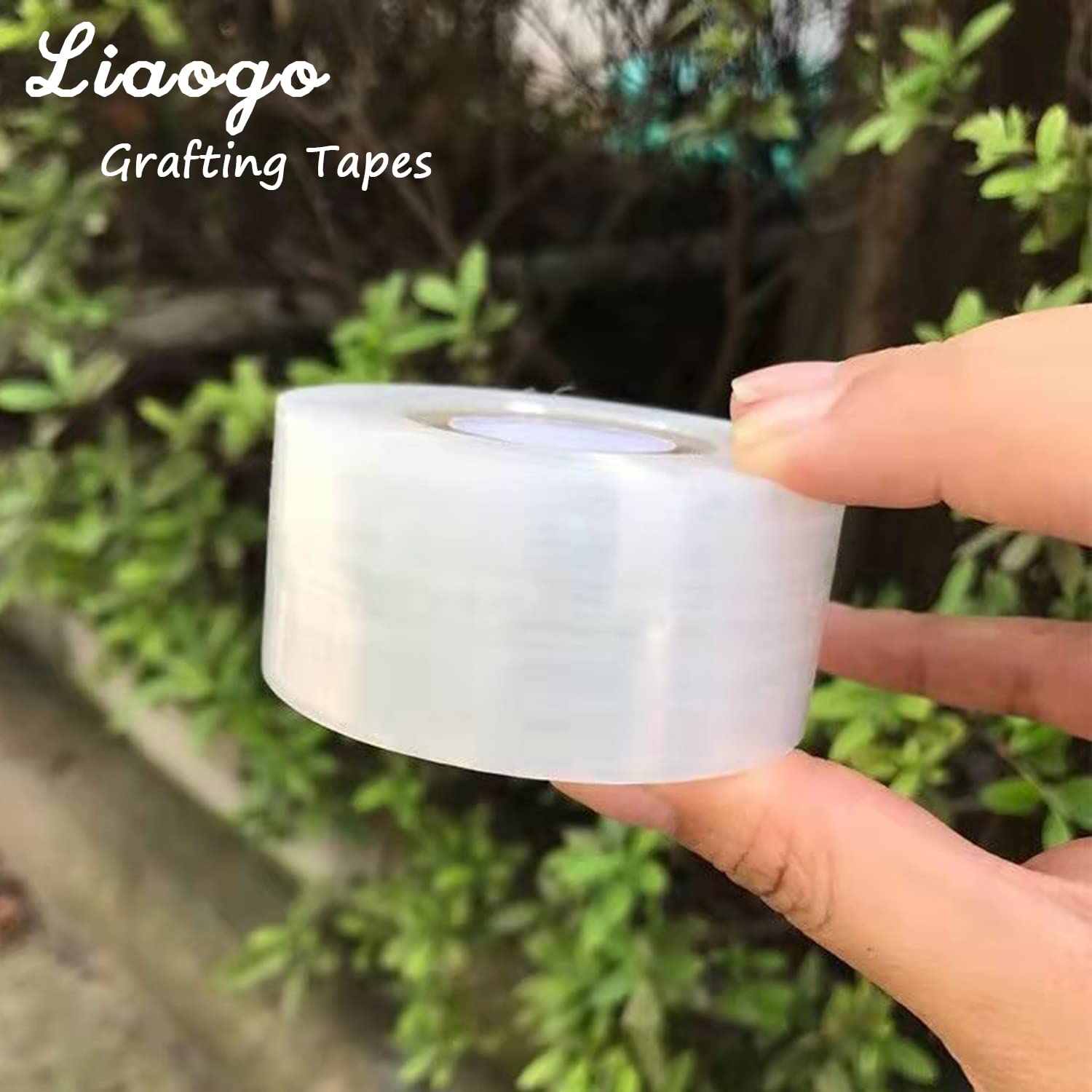 Cinta de injerto de PE de 200M - Rooting Hormone Powder reseña y precio
