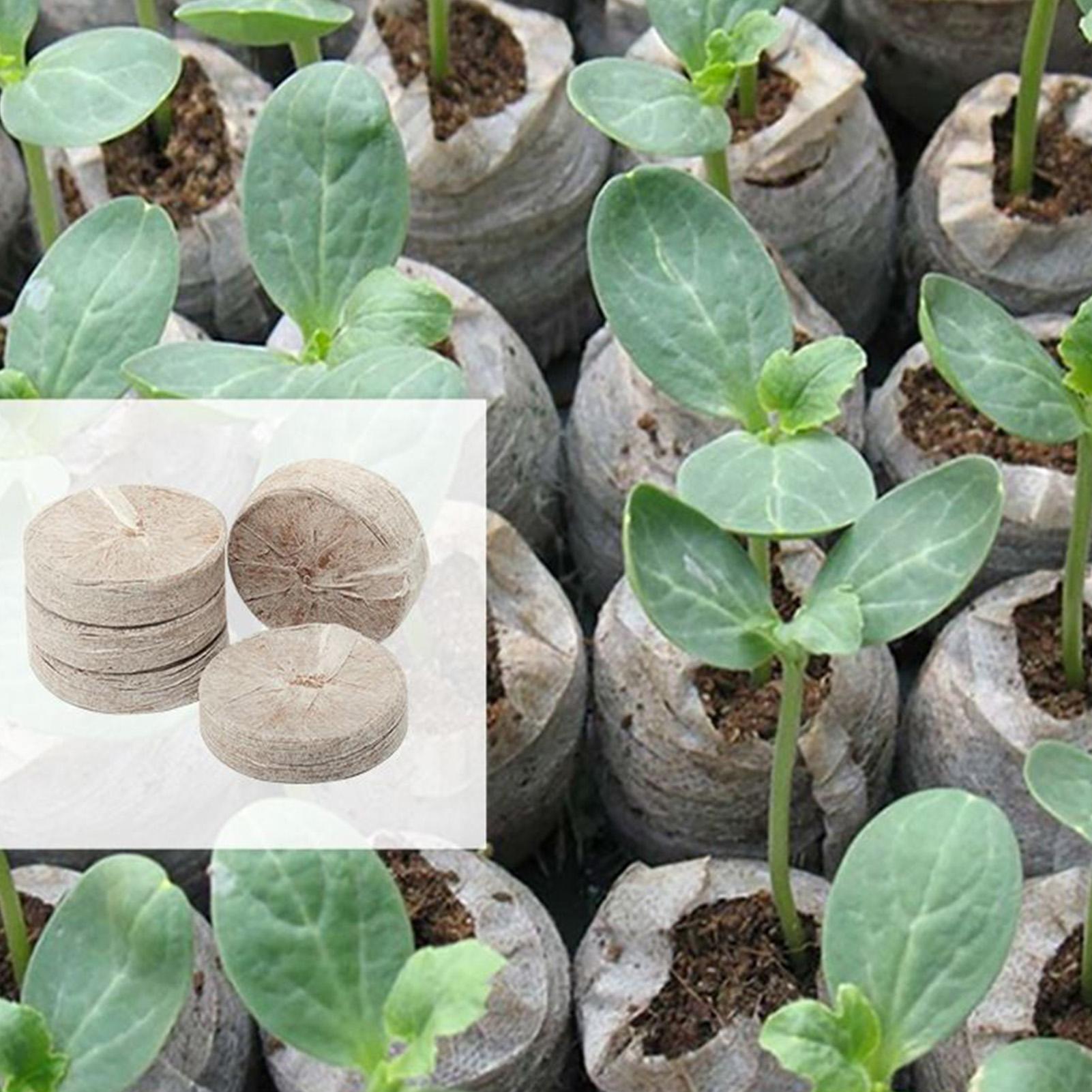 100 bandejas de mezcla para ma - Peat Pellet Tray reseña y precio